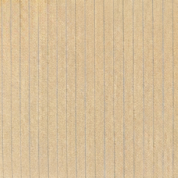 CASIMIR S'60