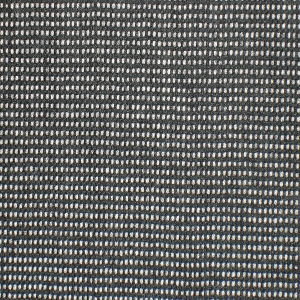 AMBASSADOR